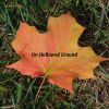 Download track On Hallowed Ground