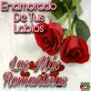 Download track Lagrimillas Tontas