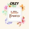 Download track Little Flowers (Extended Mix)