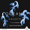 Download track Oceans (Dave Winnel Remix)