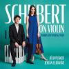 Download track Schubert: Sei Mir Gegrüsst D. 741 (Arr. By Hans Sitt)