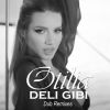Download track Deli Gibi (Renomty Dub Remix)