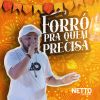 Download track No Lume Da Fogueira