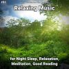 Download track Relaxation Music Pt. 42