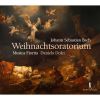 Download track 3. Nr. 3 Recitativo Alt: Nun Wird Mein Liebster Bräutigam