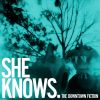 Download track She Knows
