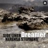 Download track Dreamer (Original Mix)
