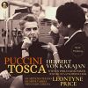 Download track Vissi D'arte, Vissi D'amore - Act 2, Tosca (Remastered 2022, Version 1962)