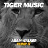 Download track Pump It (Original Mix)