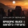 Download track Asylum Of Nephilims (Intro Mix)