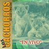 Download track Cachito De Mi Corazon