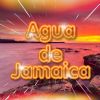 Download track Agua De Jamaica (Remix)