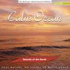 Download track Calm Ocean