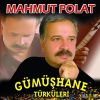 Download track Gümüshane Diki
