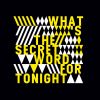 Download track What's The Secret Word Tonight (DJ Schwa's On My Lips Remix)