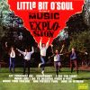 Download track Little Bit O'Soul