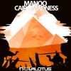 Download track Cairo Madness (Original Mix)