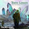 Download track Strange And Beautiful (Tom Lown Remix)