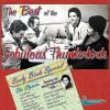 Download track Los Fabuloso Thunderbirds