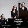 Download track String Sextet No. 2 In G Major, Op. 36 (Arr. For Piano Trio By Theodor Kirchner): III. Poco Adagio