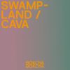 Download track Swampland