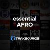 Download track Afro Sunshine (Guitar Session Mix)