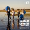 Download track String Quartet No. 15 In G Major, D. 887 III. Scherzo. Allegro Vivace - Trio (Allegretto)