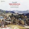 Download track 2. Trio Sonata No. 5 In G Major HWV 384 - 2. Allegro - Grave