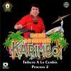 Download track Mix Cuarteto Karimbo La Cumbia / Baracuranata / Alegria Y Amor / El Delincuente / Traguito De Ron / Al Otro Lado Del Rio