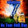 Download track Go Your Own Way