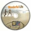 Download track Wonderful Life