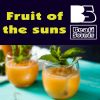 Download track Fruit Of The Suns (Radio Edit)