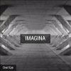 Download track Imagina