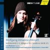 Download track Violin Concerto No. 4 In D Major, K. 218 - II. Andante Cantabile