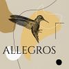 Download track Cello Concerto In E Minor, Op. 85: II. Lento - Allegro Molto