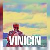 Download track Vinicin In Angra - Volume 1