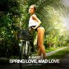 Download track Spring Love, Mad Love (Radio Mix)