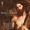 Download track 2.37. Markus Passion, BWV 247 Recitativo (Evangelista, Miles) Da Lief Einer, Und Füllete Einen Schwamm Mit Essig (Aus BWV 244)
