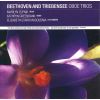 Download track Trio In B Flat - Mvt 2 Adagio