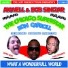 Download track What A Wonderful World (Radio Edit) 