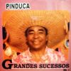 Download track Coco Da Pesada