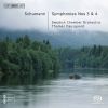 Download track 09 - Symphony No. 4 In D Minor, Op. 120 (Final Version, 1851) - II. Romanze. Ziemlich Langsam