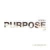 Download track Purpose