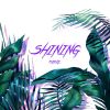 Download track Shining