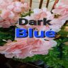 Download track Dark Blue Car