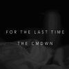Download track For The Last Time