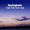 Download track I'Can Feel Your Love (U K Remix)