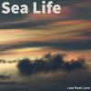 Download track Sea Life