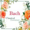 Download track Mari Samuelsen - Prelude In D Major, BWV 850 (Arr. Badzura)