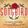 Download track Songbird